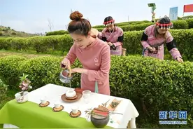 福州春茶节线上开采图片