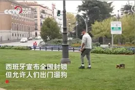 硬核遛狗！塞尔维亚奶奶阳台遛狗有奇招，狗子内心想“绝交”图片