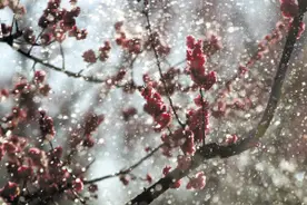 听说三月三有雨哦还能愉快玩耍吗图片