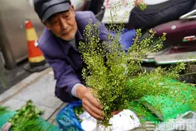 三月三，地菜煮鸡蛋！这些人不太适合吃图片