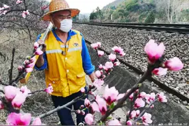 春暖花开，不负好时光……图片