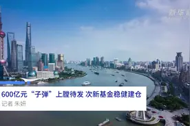 中国财富报道|600亿元“子弹”上膛待发  次新基金稳健建仓视频封面