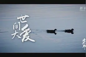 我去火神山救外婆 纪录片《英雄之城》片段14视频封面