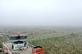 河南宁陵：万亩梨花竞芬芳图片