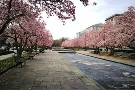 中国人记录在美生活：霍普金斯大学医学院盼社会捐助医护用品图片