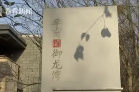 触目惊心！600万买别墅却十年不敢收房 验房师：根本没法住图片