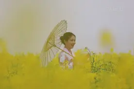 河南宝丰：约你踏青赏花视频封面
