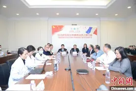 中法医生云交流新冠肺炎抗疫经验图片