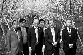 6名日本友人在宁海赏樱图片