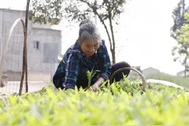 感动！儿子去世 广安邻水老人王术华不离不弃照顾瘫痪儿媳10余年图片
