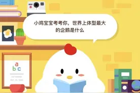 世界上体型最大的企鹅是帝企鹅还是马达加斯加企鹅？支付宝蚂蚁庄园3月27日答案图片