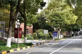 上外学者张鹏：防控疫情亟需各国将主权级资源转化为直接行动力图片