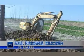 2020年3月25日《东平新闻》视频封面