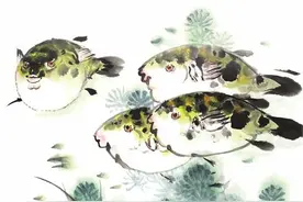 春日“话”河豚图片