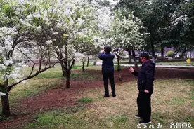 寻找枣庄最美“四月天”｜外面的世界很精彩图片