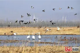 河北怀来“首都两区”建设规划获批图片