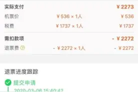 国际航班取消退1元？飞猪：不是，但建议领航司代金券或改签图片