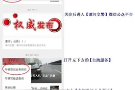 漯河：业务办理恢复公告图片