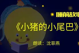 睡前故事丨小猪的小尾巴图片