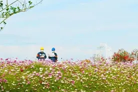 最馋这一幅幅电网春景图片