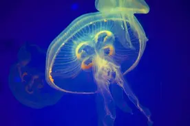中考生物考试必备知识点汇总图片