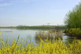 洛阳城中野趣游玩地曝光！亲水赏花、儿童游乐…图片