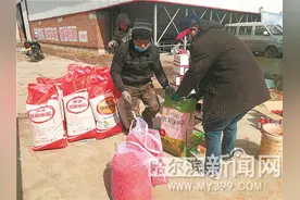 木兰首批360吨稻种“泡”上了图片