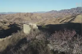 春到长城视频封面