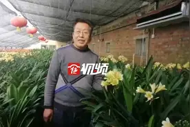 「云展厅」鲁氏君子兰：欢迎来到彩兰之家图片