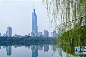 春已至 江苏大地奏响春日“交响曲”图片