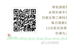 山东博物馆3月31日起恢复开放！入馆参观需提前预约图片
