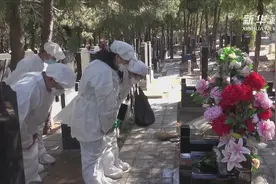 清明将至 北京公墓推出代祭服务视频封面