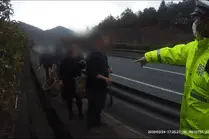 组团采野菇两车违停应急车道 高速交警：罚！视频封面
