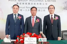 雅居乐的后劲与陈卓林的底气图片