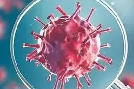 鼠疫、霍乱……人类是如何一关一关攻克传染病的？图片