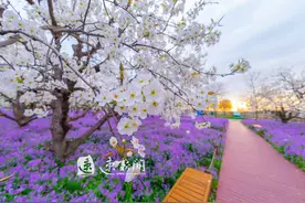 赴约三台山“梨兰会”，快快收下这份“出行锦囊”图片
