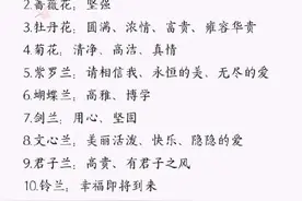 100种花的花语，收藏吧图片