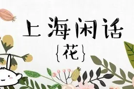 春来花开！上海话里的那些“花”，分别有什么特别含义？图片