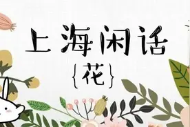 春来花开！上海话里的那些“花”，分别有什么特别含义？图片