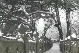 四月将至，武当山迎来惊艳“桃花雪”！视频封面