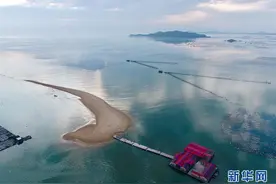 “千变”沙洲的新变化图片