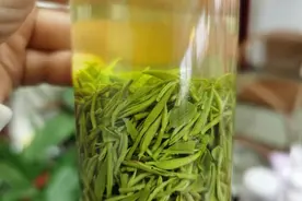 追一杯明前茶？老茶客很淡定图片