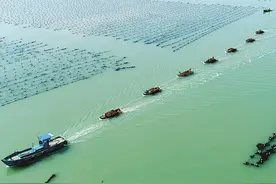 海带进入收获季图片
