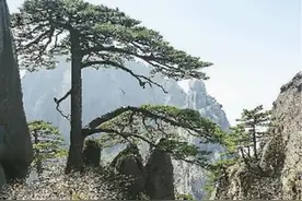 春游黄山图片