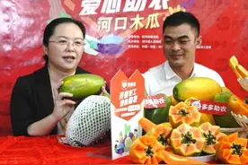 瑶族女县长拼多多直播：半小时售80吨木瓜为云南河口创出新品牌图片