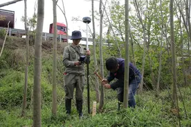 诸暨8个项目入选“省重点”！数量居绍兴县市区第一图片