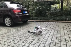 两只板凳从天而降，“再偏一点，就要出人命了”……图片