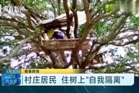 也是厉害了！印度村庄居民“自我隔离”没房间，灵机一动：住树上视频封面