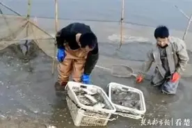 最高10万元！武汉鲜鱼团购配送单位获现金奖励图片