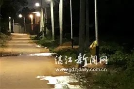 为家乡捐建百盏路灯图片